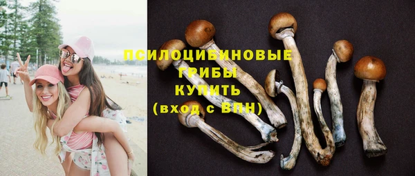 прущий лед Алексин