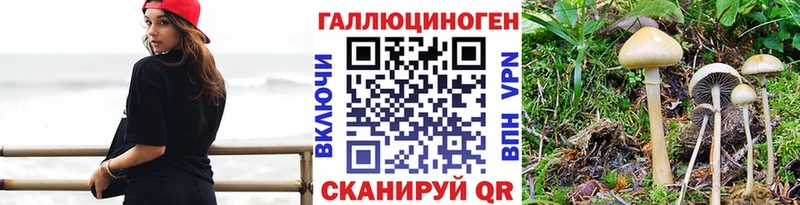 Псилоцибиновые грибы мицелий  продажа наркотиков  гидра сайт  Пугачёв 